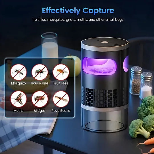 🪰A Summer Essential:Indoor Trap for Fruit Flies and Small Flying Insects🦟